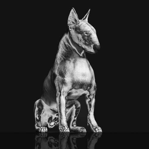 Riskee & the Ridicule: Platinum Statue - COMPACT DISCS