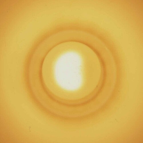 Gaute Granli: Monstersol -VINYL