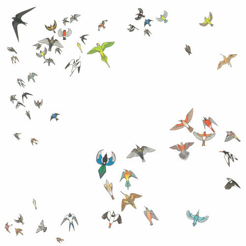 Modern Nature: No Fixed Point In Space - COMPACT DISCS