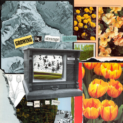 I'm Sorry Thank You: Growing In Strange Places - Orange Crush -VINYL