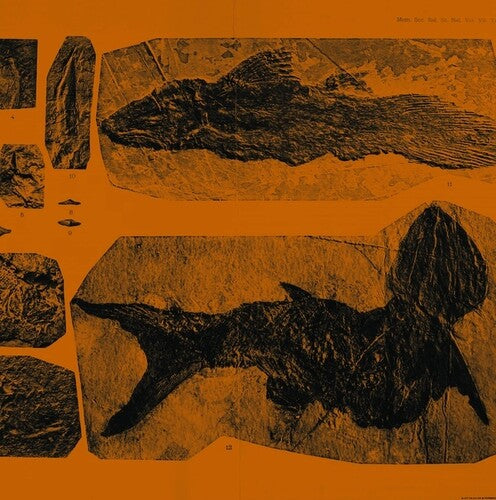 Annelies Monsere: Mares -VINYL