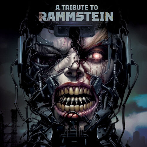Various Artists: A Tribute To Rammstein (Various Artsists) -VINYL