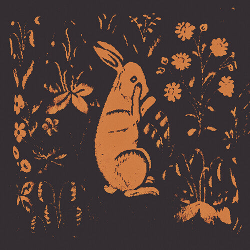 Sadness: Rabbit Album -VINYL