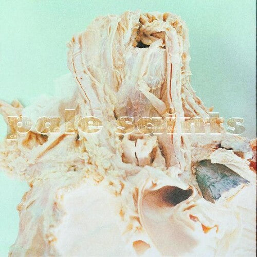 Pale Saints: In Ribbons - COMPACT DISCS