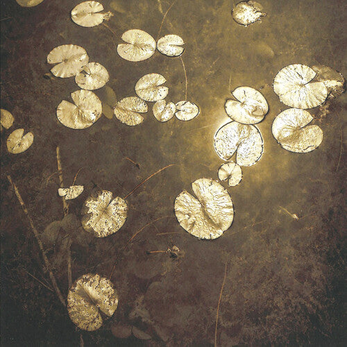 Northwoods Improvisers: Fanfares - COMPACT DISCS