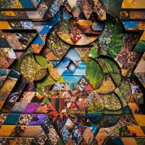 Miguel Atwood-Ferguson: Les Jardins Mystiques 1 - { VINYL }