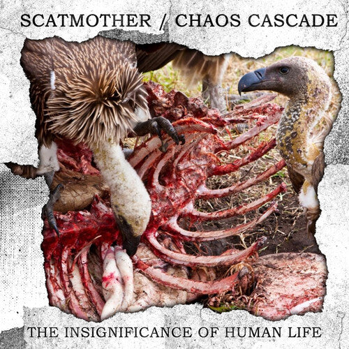 Scatmother & Chaos Cascade: The Insignificance Of Human Life - COMPACT DISCS