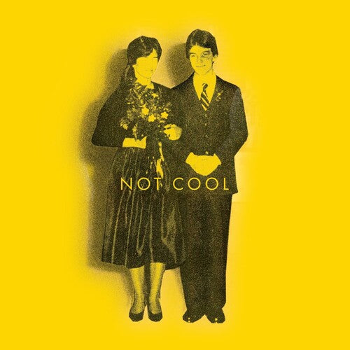 Tim Easton: Not Cool -VINYL