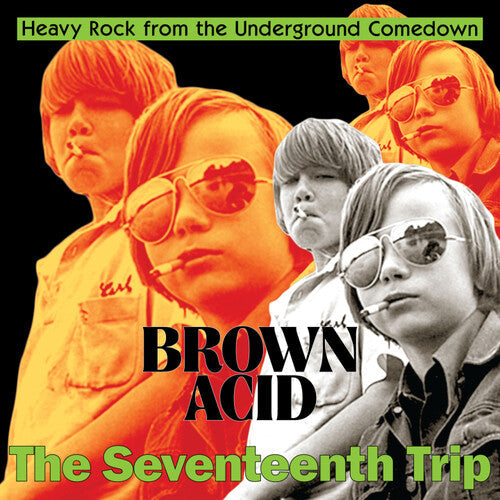 Various Artists: Brown Acid - The Seventeenth Trip (Various Artists) -VINYL