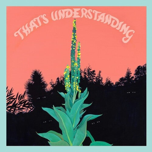 Village of Spaces: That's Understanding - COMPACT DISCS