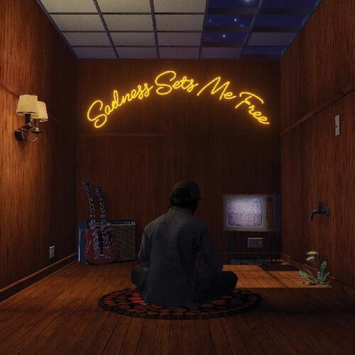 Gruff Rhys: Sadness Sets Me Free - { VINYL }