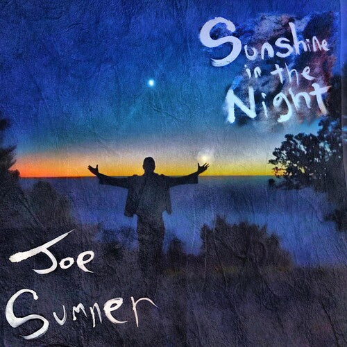 Joe Sumner: Sunshine In The Night - { VINYL }