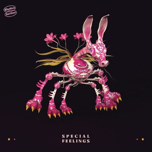 Special Feelings: Special Feelings - { VINYL }