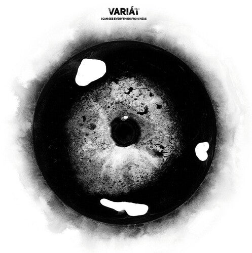Variat: I Can See Everything From Here - { VINYL }