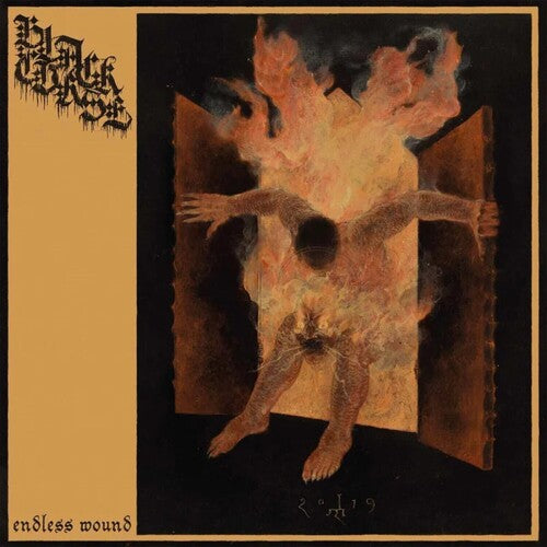 Black Curse: Endless Wound - CD