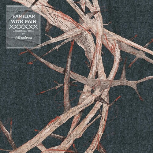 The Meadows: Familiar With Pain - CD