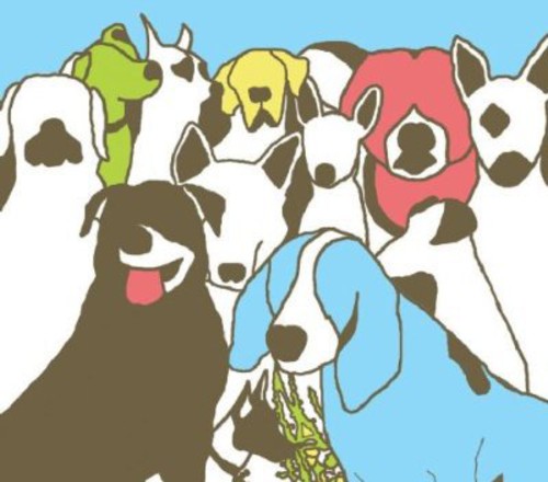 The Format: Dog Problems - COMPACT DISCS