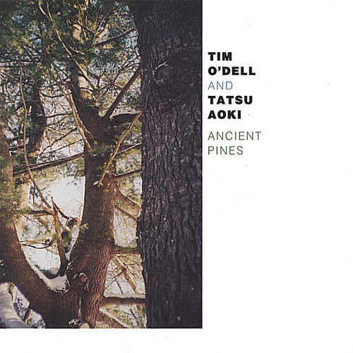 Tim O'Dell: Ancient Pines - COMPACT DISCS
